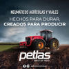 Imagen de Neumático Red Lion Vial 10.16.5 Sks5 (12pr) Tl - R4