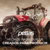 Imagen de Neumático Agrícola Petlas - TA 60 - 14.9/13-24 (14PR) A6/142